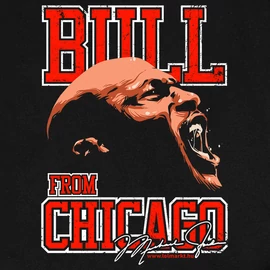Bull from Chicago rajongói férfi póló (Fekete)