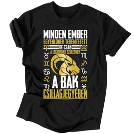Minden ember (horoszkópos) férfi póló (Fekete)