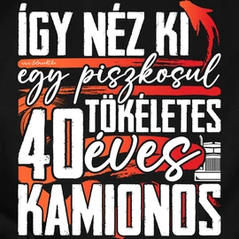 Tökéletes X éves kamionos férfi póló (Fekete)
