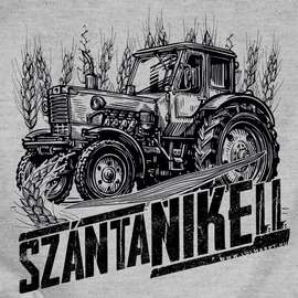 Száéntanikell férfi póló (Szürke)