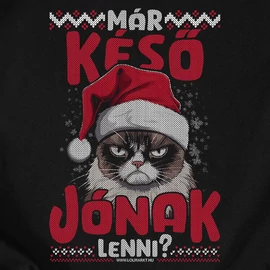 Már késő jónak lenni? férfi póló (Fekete)