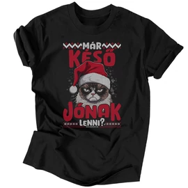 Már késő jónak lenni? férfi póló (Fekete)