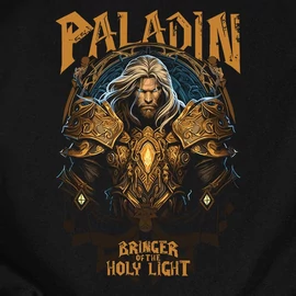 Paladin - Bringer of the holy light férfi póló (Fekete)