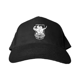 NTSE logó baseball sapka