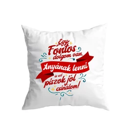 Anyának lenni kis párna (Fehér)