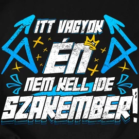 Nem kell ide szakember férfi póló (Fekete)