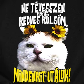 Mindenkit utálok férfi póló  (Fekete)