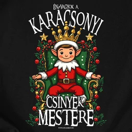 Csínyek mestere gyerek póló (B_Fekete)