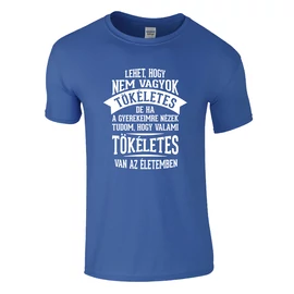 Tökéletes gyerekeim póló (Királykék)