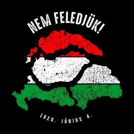 Nem feledjük! férfi póló (fekete)