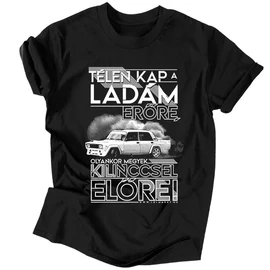 Télen kap a ladám erőre férfi póló (fekete)