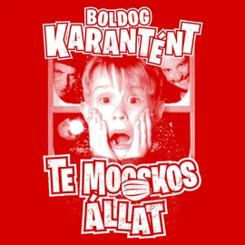 Boldog karantént te mocskos állat női póló (Piros)