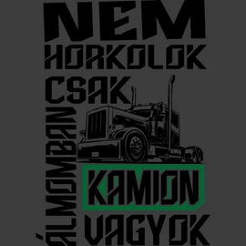 Álmomban kamion vagyok póló (grafit)