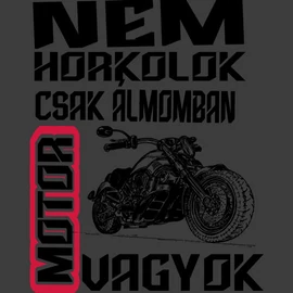 Álmomban motor vagyok póló (grafit)