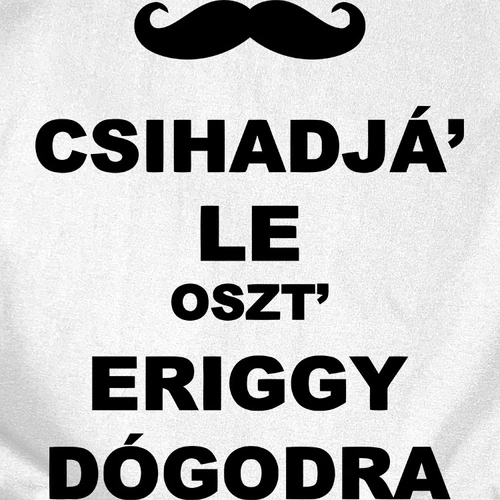 Eriggy dógodra férfi póló (B_Fekete)