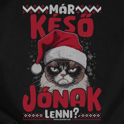 Már késő jónak lenni? férfi póló
