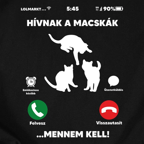 Hívnak a macskák Női póló (B_Fekete)