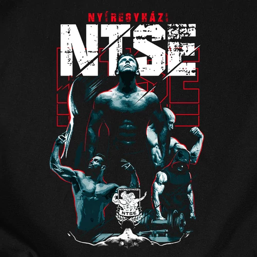 NTSE designer férfi póló (B_Fekete)