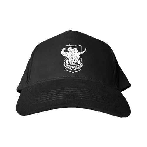 NTSE logó baseball sapka