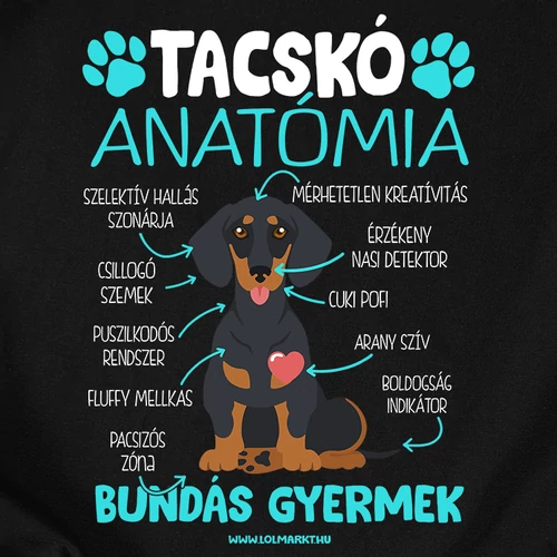 Tacskó anatómia férfi póló (B_Fekete)
