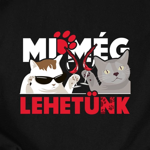 Macskás Öregasszony - lánybúcsús póló (A_Fekete)