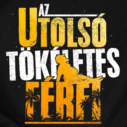 Az utolsó tökéletes férfi póló (B_Fekete)