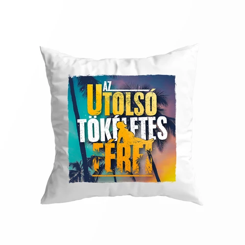 Az utolsó tökéletes férfi kis párna (Fehér)