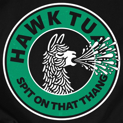 Hawk Tuah férfi póló (b_fekete)