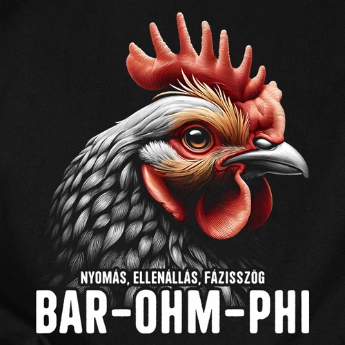 Bar-Ohm-Phi női póló (B_Fekete)