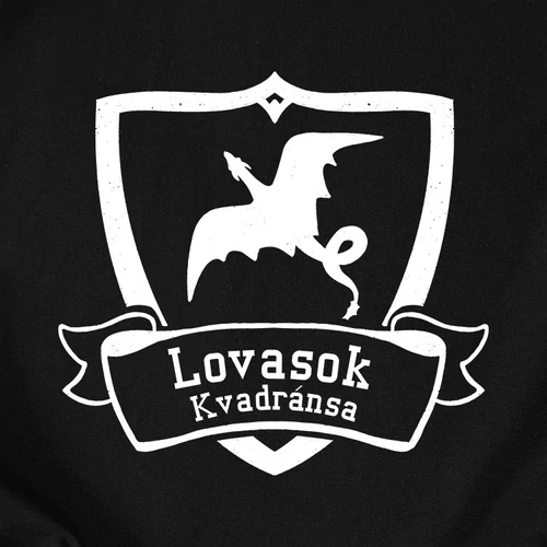 Lovasok Kvadránsa - Fourth wing unisex kapucnis pulcsi (Fekete)