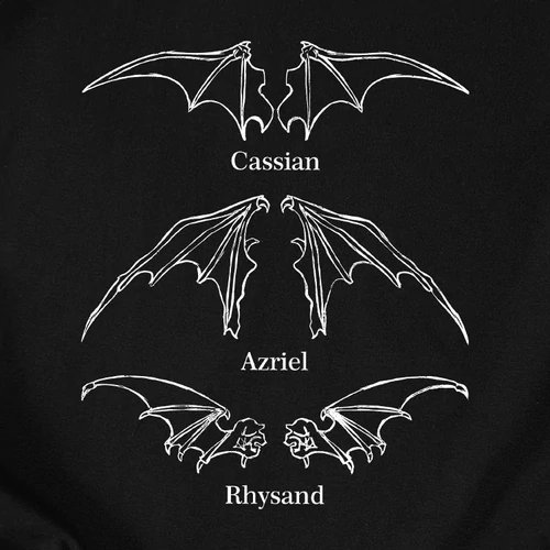 Acotar - Bat boys férfi póló (Fekete)