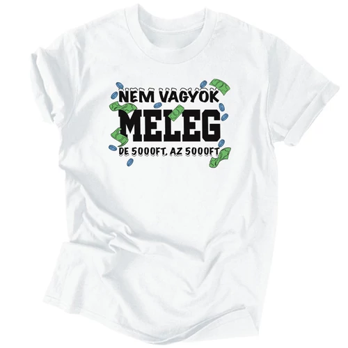 Nem vagyok meleg férfi póló (fehér)