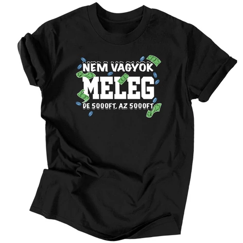 Nem vagyok meleg férfi póló (Fekete)
