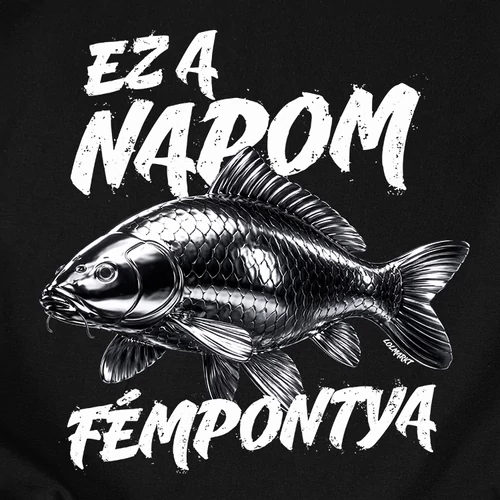 Ez a napom Fémpontya férfi póló (B_Fekete)