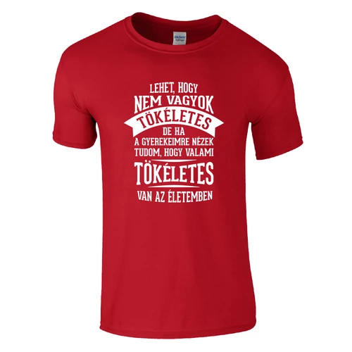 Tökéletes gyerekeim póló (Piros)
