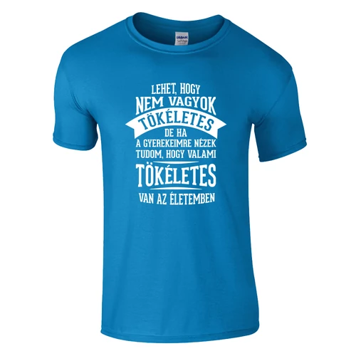 Tökéletes gyerekeim póló (Türkiz)