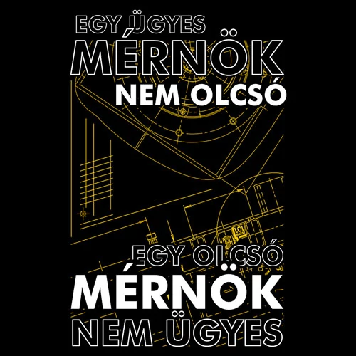 Ügyes mérnök női póló (B_Fekete)