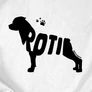 Roti férfi póló (B_Fehér)