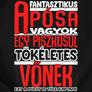 Kép 2/4 - Fantasztikus apósa (vőnek) férfi póló (B_fekete)
