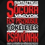 Fantasztikus sógora (csávónak) férfi póló (B_fekete)
