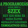 Kép 2/3 - A programozás olyan, mint a szex férfi póló (B_fekete)