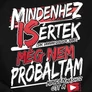 Mindenhez is értek férfi póló (B_Fekete)