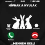 Hívnak a nyulak Női póló (B_Fekete)