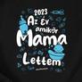 Kép 2/6 - Az év amikor Anya lettem női póló (B_Fekete)