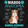 Buldog anatómia férfi póló (B_Fekete)