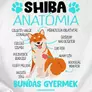 Kép 3/5 - Shiba anatómia férfi póló (B_fehér)