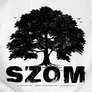 F_SZOM kis párna (B_Fehér)