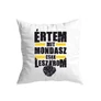 Értem mit mondasz kis párna (Fehér)