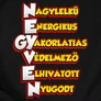 Születésnapos tulajdonságok férfi póló (B_Fekete)
