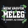 Nem vagyok meleg férfi póló (B_fekete)